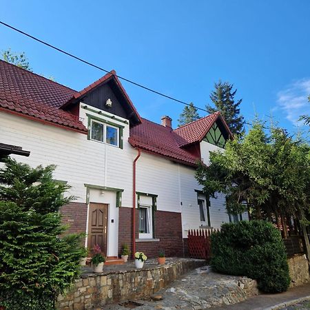 Apartament W Gorach Świeradów-Zdrój Εξωτερικό φωτογραφία
